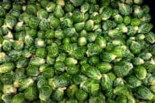 brussels sprouts