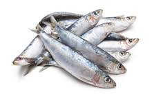 sardines