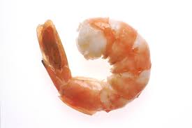 shrimp