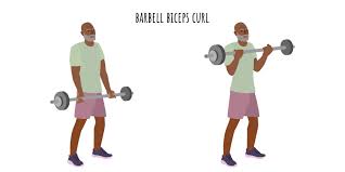 Barbell Curl