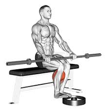 Barbell Seated Calf Raise