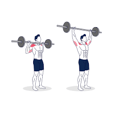 Barbell-Shoulder-Press