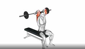 Barbell Triceps Extension