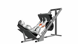 Calf Raises on Leg Press Machine