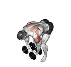 Dumbbell Rear Lateral Raise
