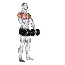 Front Dumbbell Raise