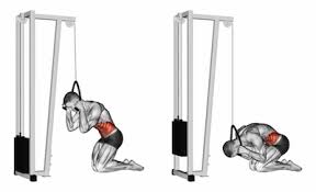 Kneeling Cable Crunch
