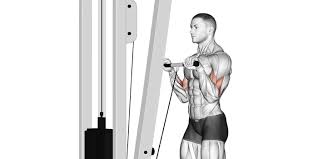 Low Pulley Bicep Cable Curl