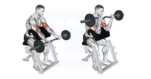 Preacher Curl EZ Bar