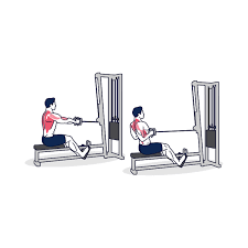 Seated Cable Row