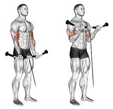 Standing Biceps Cable Curl