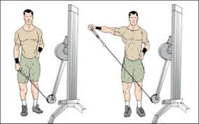 Standing Low-Pulley Delt Raise