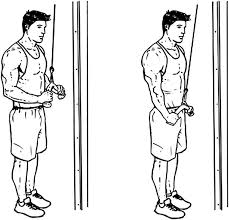Triceps Pushdown