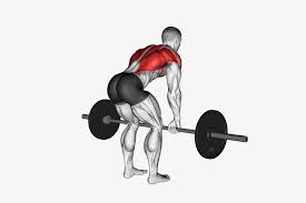 bent-over barbell row