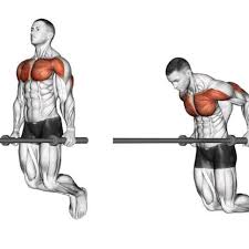 chest dips