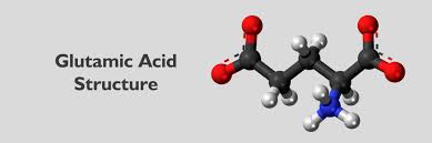 glutamic acid