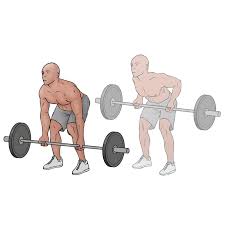Reverse Grip Bent-Over Rows